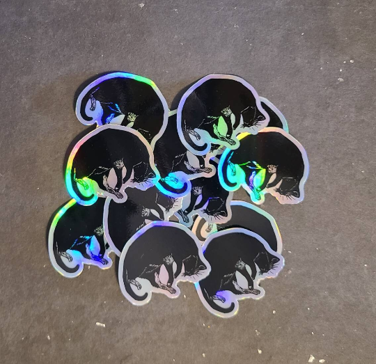 Holographic Sleepy Kitty